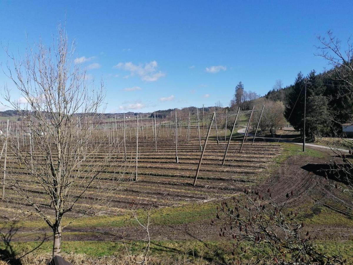 Ferienhof Hopfgaertle Mueller Bodnegg Rom bilde