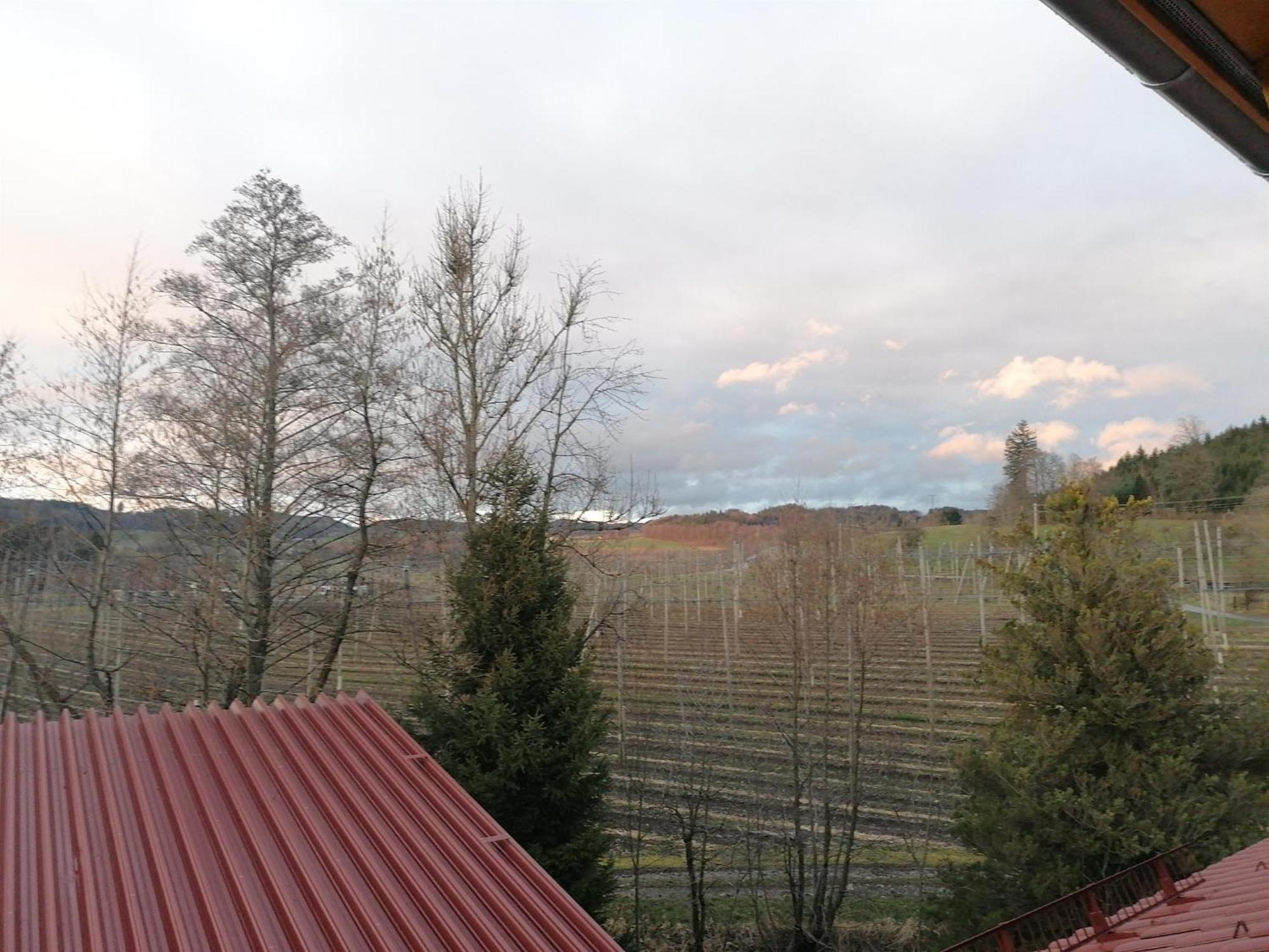 Ferienhof Hopfgaertle Mueller Bodnegg Rom bilde